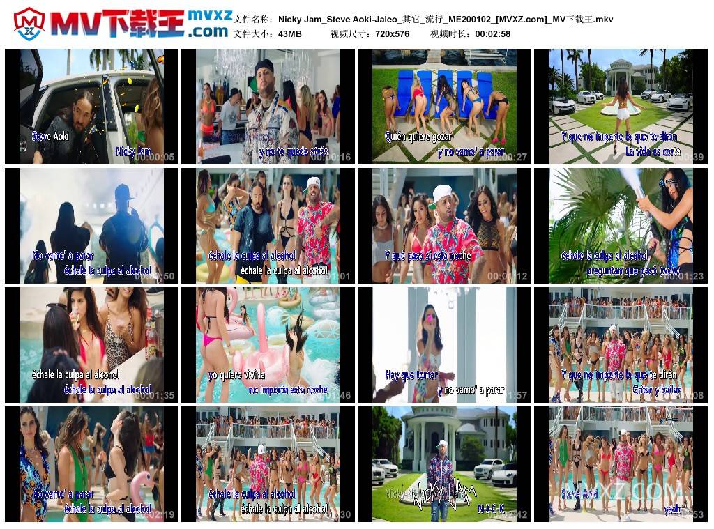 Nicky Jam_Steve Aoki-Jaleo_其它_流行_ME200102